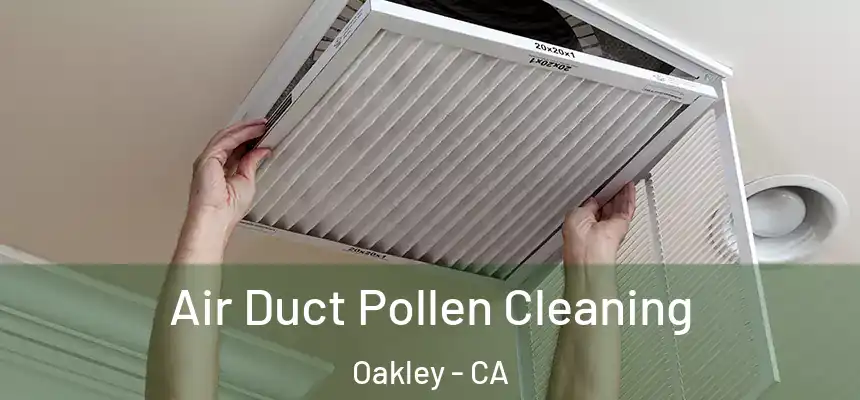  Air Duct Pollen Cleaning Oakley - CA