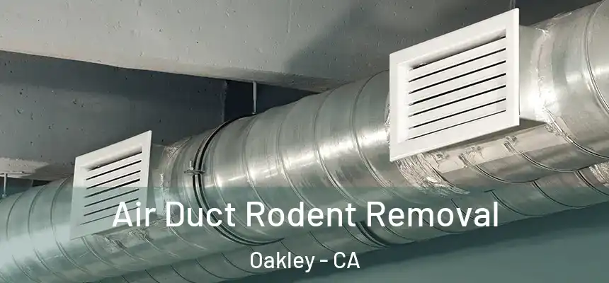  Air Duct Rodent Removal Oakley - CA