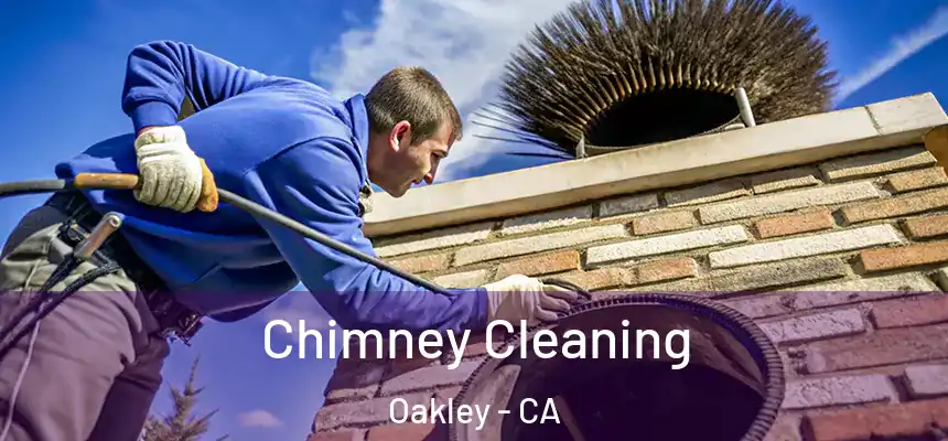  Chimney Cleaning Oakley - CA