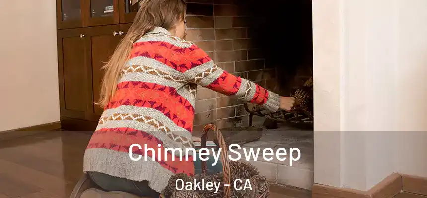  Chimney Sweep Oakley - CA