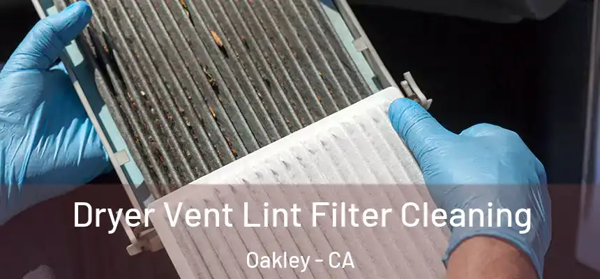  Dryer Vent Lint Filter Cleaning Oakley - CA