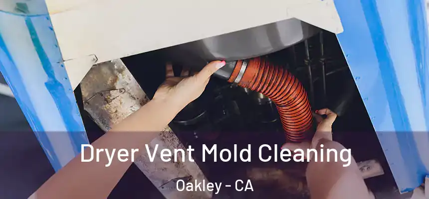  Dryer Vent Mold Cleaning Oakley - CA