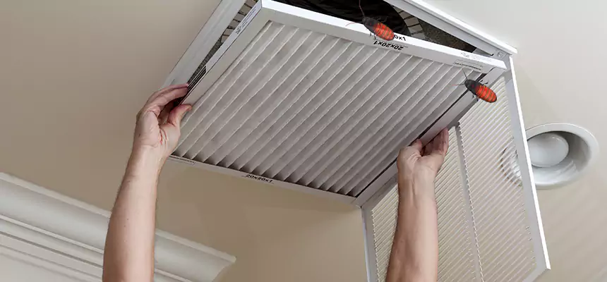 Preventive Cockroach-Proofing for Ducts in Oakley