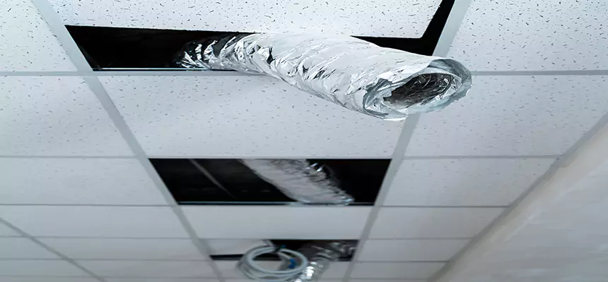 Our Air Duct Pet Hair Removal Services in Oakley, CA