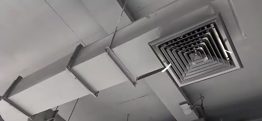 Our Pest Removal From Ducts Services in Oakley, CA