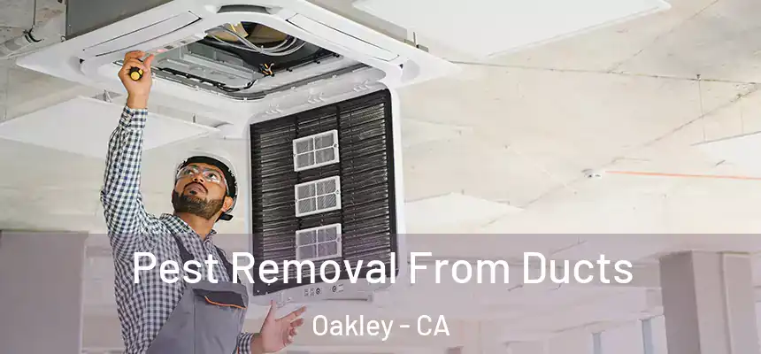  Pest Removal From Ducts Oakley - CA