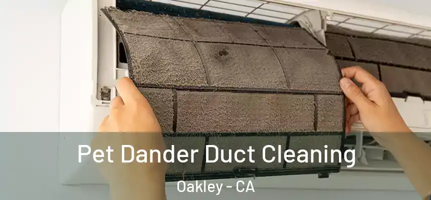 Pet Dander Duct Cleaning Oakley - CA