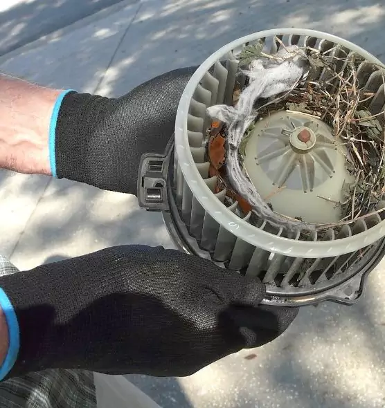 About Air Duct Mice Removal in Oakley, CA