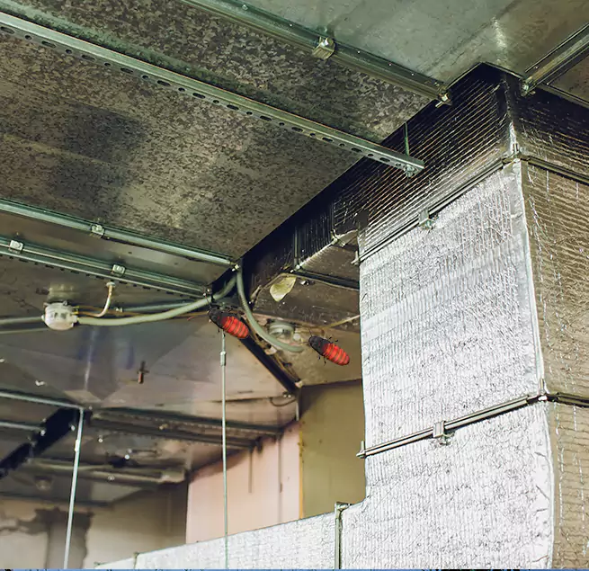 Why Homeowners & Businesses Trust Us in Oakley, CA?