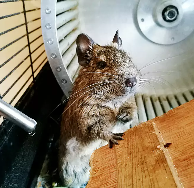 Why Homeowners & Businesses Trust Us Oakley, CA