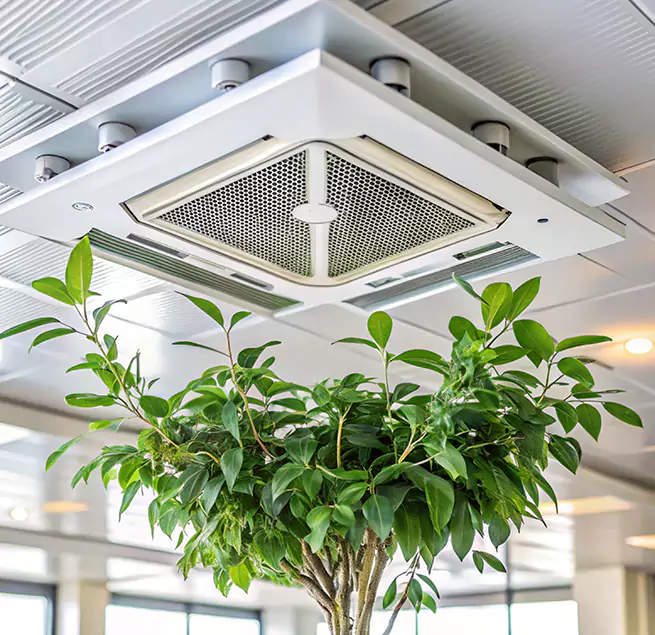 Why Homeowners & Businesses Trust Us in Oakley, CA?