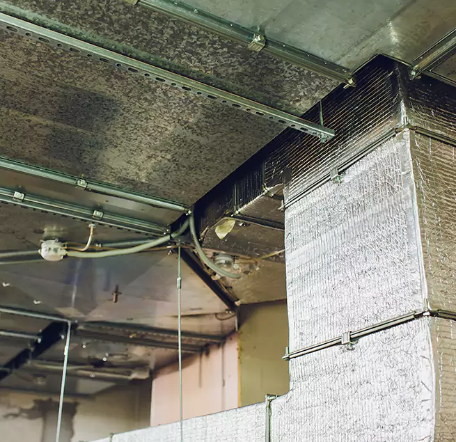 Why Homeowners & Businesses Trust Us in Oakley, CA?